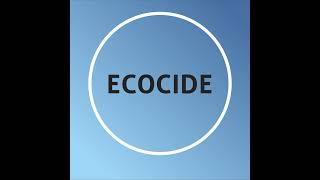 Ecocide Law [upl. by Bagger]