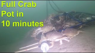 Full Crab Pot in 10 Minutes [upl. by Macey]