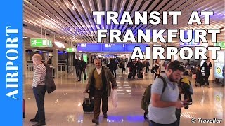 TRANSIT WALK AT FRANKFURT Airport FRA Terminal 1  Connection Flight Transfer Arriving amp Departing [upl. by Elletsyrk]