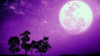 DEEP SLEEP in 5 MINUTES Relaxing Music • Sleep Music • Calming Music Stress Relief • Delta Waves [upl. by Oicram807]