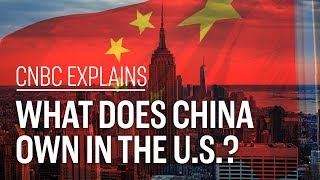 What does China own in the US  CNBC Explains [upl. by Emmalynne]