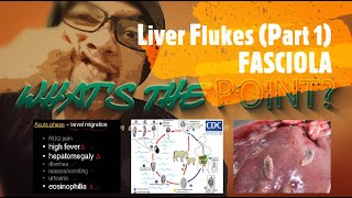 LIVER FLUKES Part 1 of 2  FASCIOLA [upl. by Hwu281]