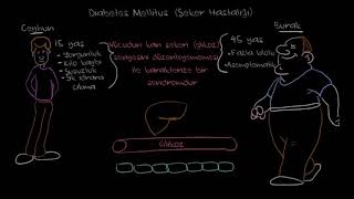 Diyabet Şeker Hastalığı Nedir Fen Bilimleri Sağlık ve Tıp [upl. by Dyan909]