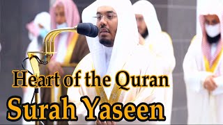 Surah Yaseen with English translation  Sheikh Yasser al Dossari Beautiful Recitation [upl. by Jeritah]