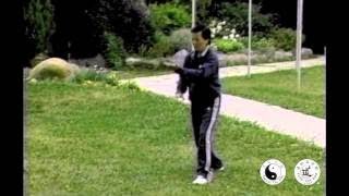 Our Founder Master Moy demonstrates Taoist Tai Chi arts [upl. by Tybalt]