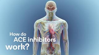 How do ACE inhibitors work [upl. by Ocnarf]