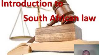 Introduction to South African Law Philani Lithandane Ndlovu [upl. by Banebrudge]