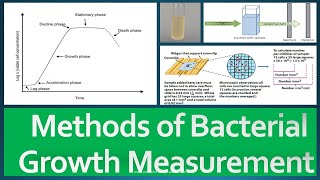 Growth Measurement Methods [upl. by Eciralc506]