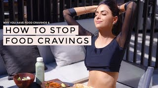 How To Stop Food Cravings  Dr Mona Vand [upl. by Aggy]