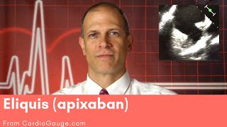 Eliquis apixaban Basics about this medicine its use effectiveness and side effects [upl. by Wolfe]