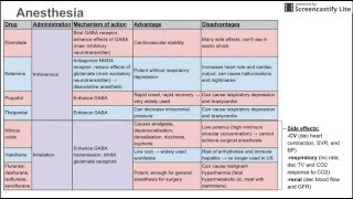 Anesthetics [upl. by Micky621]