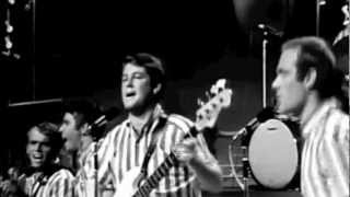 Surfin USA Live on the TAMI Show 1964 [upl. by Ryle172]