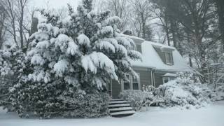 Winter Cabin in a Snowstorm  Falling Snow amp Heavy Winds Blowing  Natural White Noise for Sleep [upl. by Aidiruy]