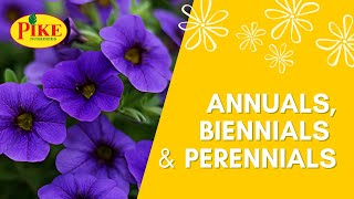 The Difference Between Annuals Biennials amp Perennials [upl. by Berkie]