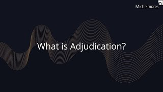 What is Adjudication [upl. by Loesceke972]