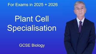 GCSE Biology Revision quotPlant Cell Specialisationquot [upl. by Dammahum]