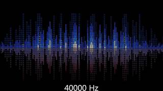 Test your hearing 40000 Hz whistle [upl. by Purvis]