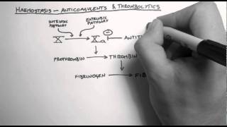 Heparin dosing explained [upl. by Retsev]