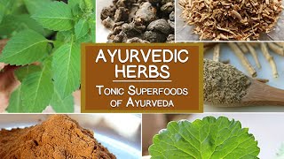 Ayurvedic Herbs The Tonic Superfoods of Ayurveda [upl. by Anyer]