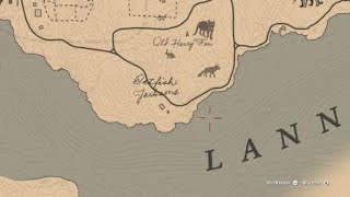 Neotropic Cormorant Location  RDR2 [upl. by Iht]