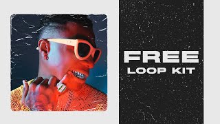 FREE Afrobeat Loop KitSample Pack 10 Royalty Free Wizkid Burna Boy Jhus Popcaan Type Loops [upl. by Dorkas]