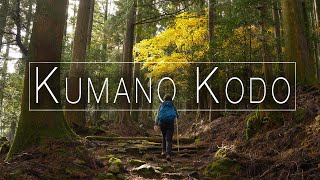 HIKING  The KUMANO KODO Trail Japan [upl. by Katya]