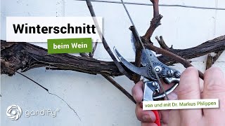 Winterschnitt beim Wein  Weinreben richtig schneiden  gardify Tipps [upl. by Halas211]