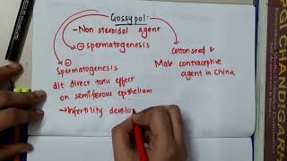 gossypol mp4  Pharmacology [upl. by Pollock871]