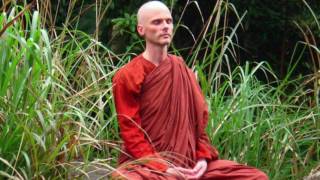 Bhikkhu Anālayo  Exploring the Four Satipatthanas Guided Meditation [upl. by Cesaria]