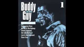 Buddy Guy amp Friends Full Album 2001 Vol 1 amp 2 [upl. by Eibrab]